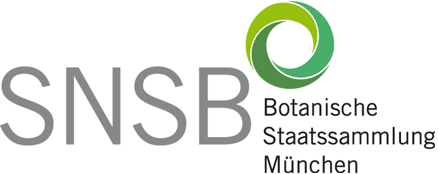 to Botanische Staatssamlung München